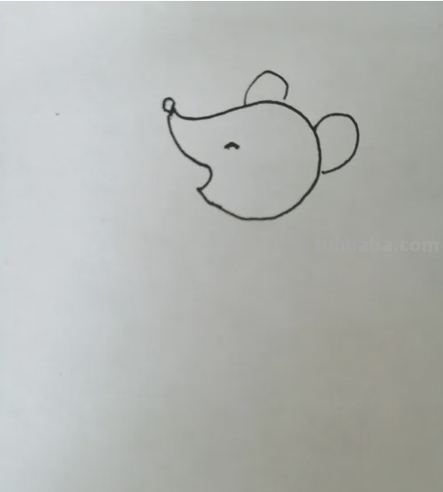 老鼠的画法(简单又好看)