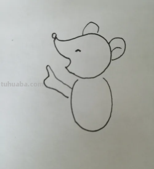 老鼠的画法(简单又好看)