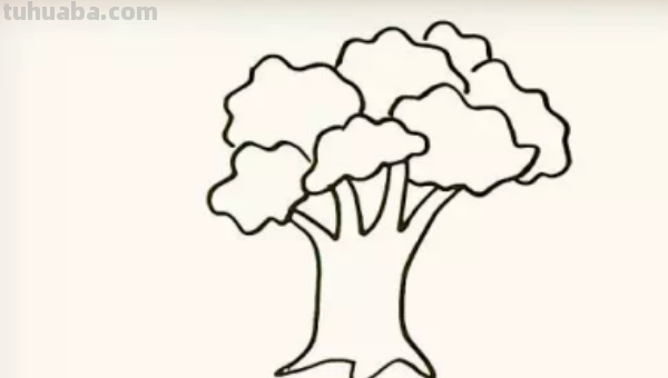 怎么画一棵大树?