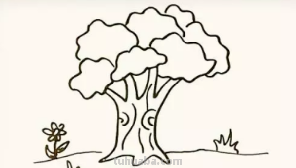 怎么画一棵大树?