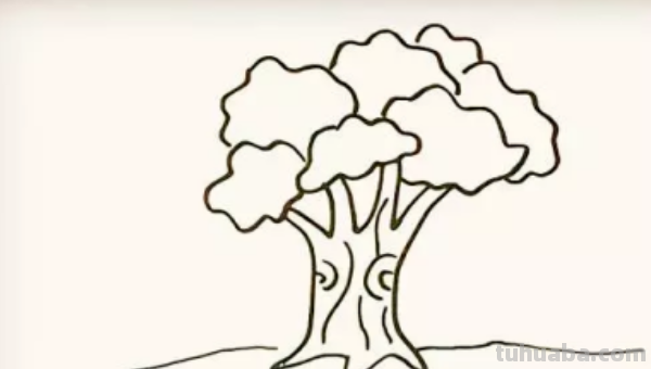 怎么画一棵大树?