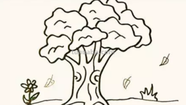 怎么画一棵大树?