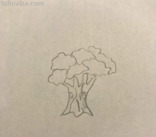 怎么画大树