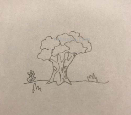 怎么画大树