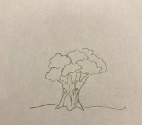 怎么画大树