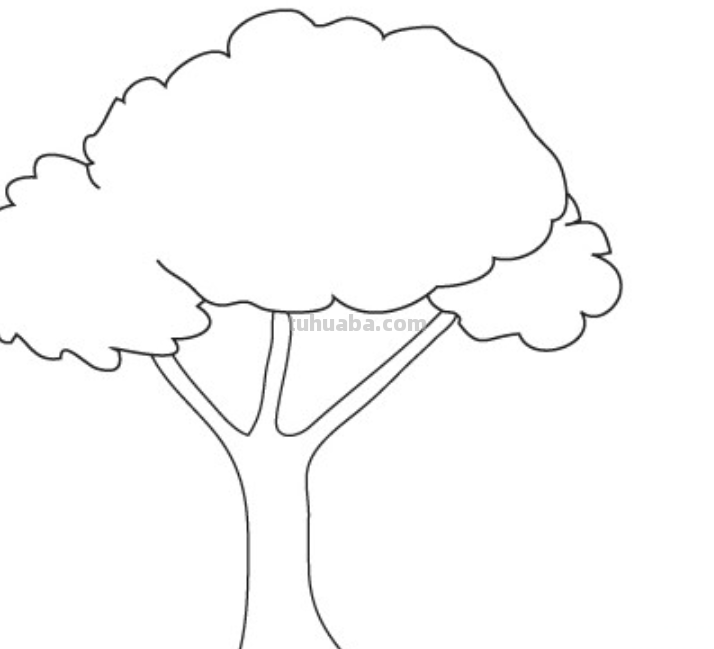 如何画大树