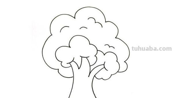 怎么画一棵漂亮又简单的大树