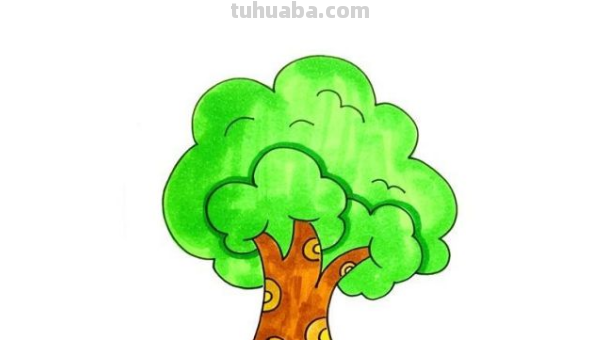 怎么画一棵漂亮又简单的大树