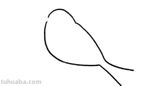 小鸟怎么画简单又好看 可爱