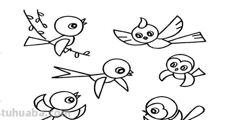 鸟怎么画简单又可爱