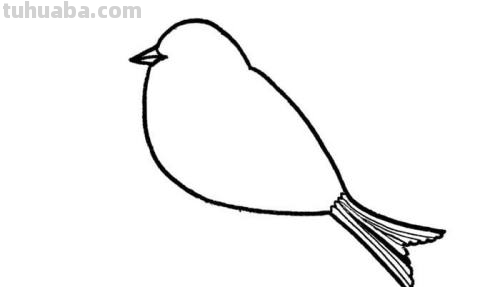 小鸟怎么画简单又好看 可爱