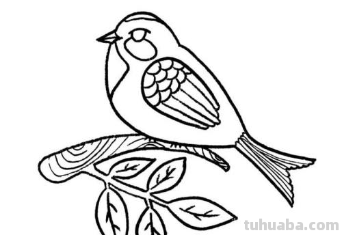 小鸟怎么画简单又好看 可爱
