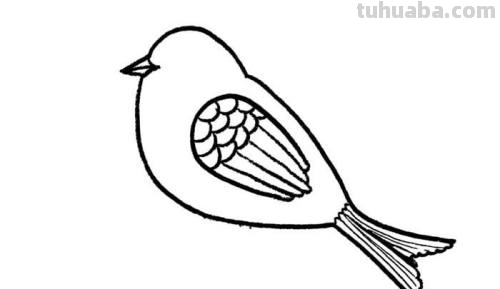 小鸟怎么画简单又好看 可爱