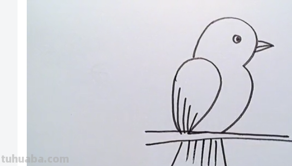 最简单的小鸟怎么画