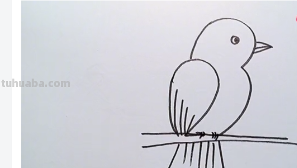 最简单的小鸟怎么画