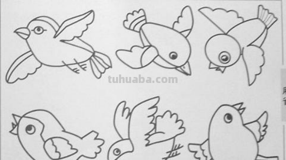 小鸟怎么画简单又可爱