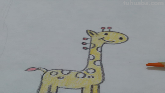 长颈鹿怎么画又可爱又简单