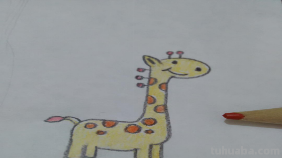 长颈鹿怎么画又可爱又简单