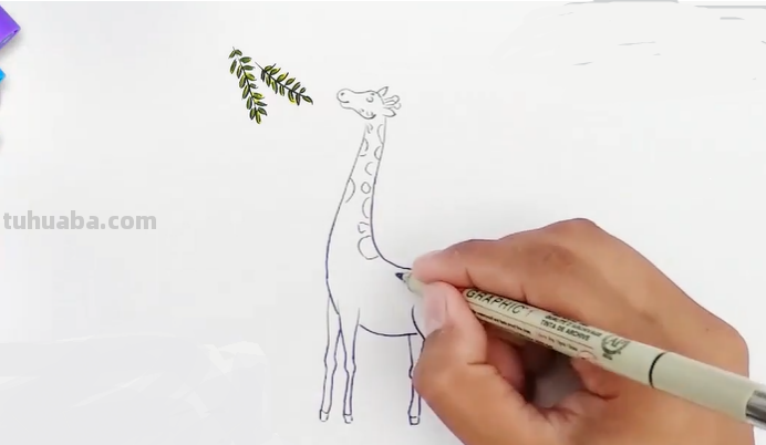 长颈鹿的画法儿童画