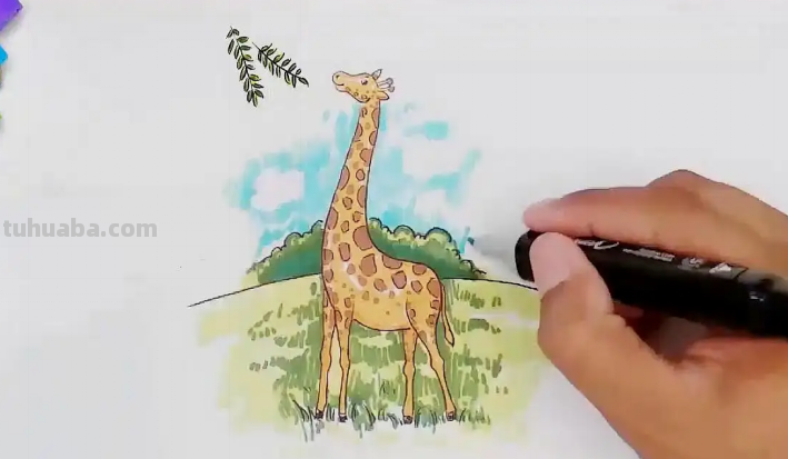 长颈鹿的画法儿童画