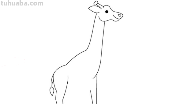 儿童画长颈鹿的画法