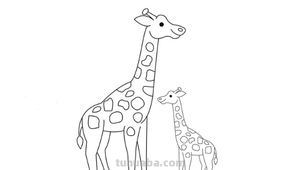 儿童画长颈鹿的画法