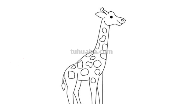 儿童画长颈鹿的画法