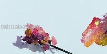 葡萄怎么画 彩铅图片 一步一步教你画葡萄? 葡萄怎么画 彩铅图片 一步一步教你画葡萄?