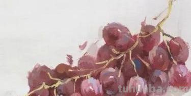 葡萄怎么画 彩铅图片 一步一步教你画葡萄? 葡萄怎么画 彩铅图片 一步一步教你画葡萄?