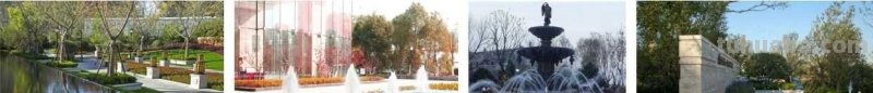 干货！适合零基础学习的水景植物画法教程，简单易学，一起来临摹