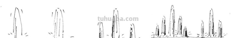 干货！适合零基础学习的水景植物画法教程，简单易学，一起来临摹
