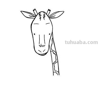 每天学一幅简笔画-超级简单的小动物简笔画