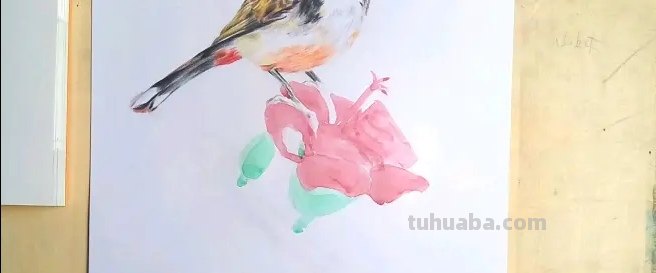 小鸟怎么画 彩铅颜色 怎么画小鸟步骤教学? 小鸟怎么画 彩铅颜色 怎么画小鸟步骤教学?