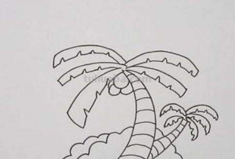 椰子树怎么画