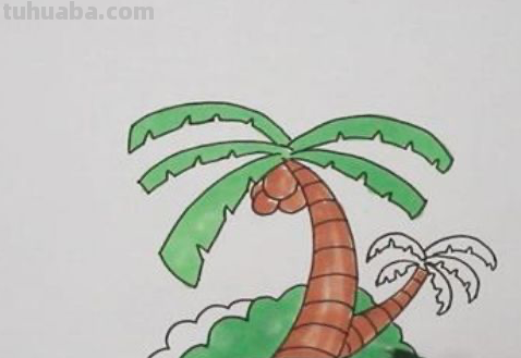 椰子树怎么画