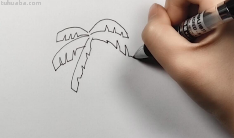 椰子树怎么画简笔画 海边