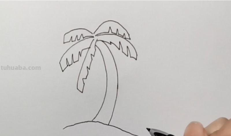 椰子树怎么画简笔画 海边