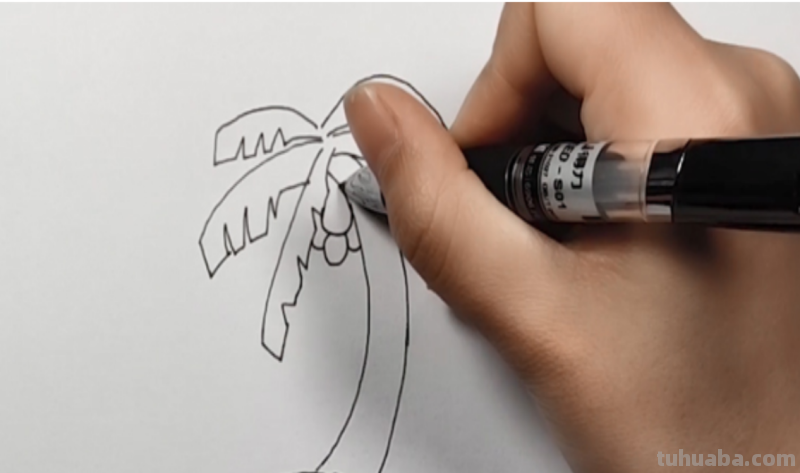 椰子树怎么画简笔画 海边