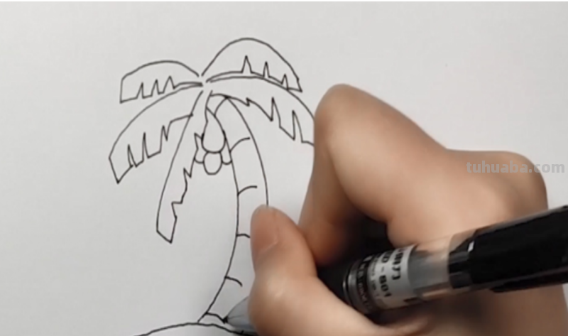 椰子树怎么画简笔画 海边