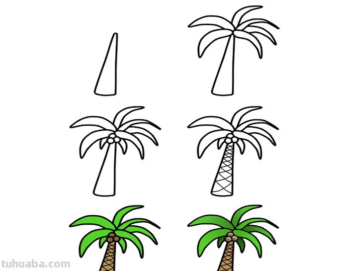 椰子树怎么画