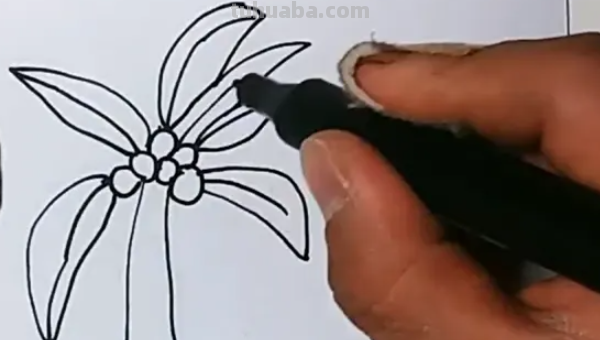 椰子树怎么画图片