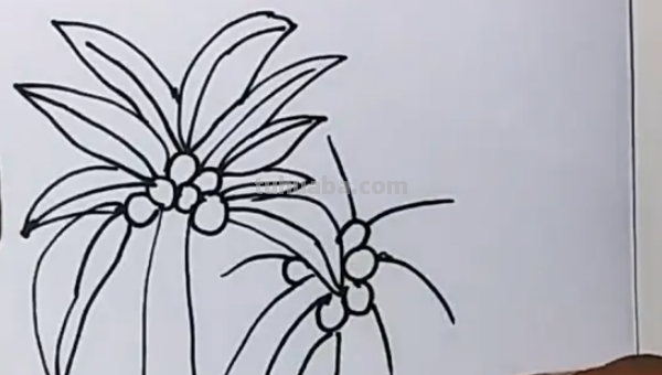 椰子树怎么画图片