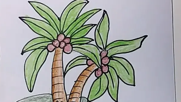 椰子树怎么画图片