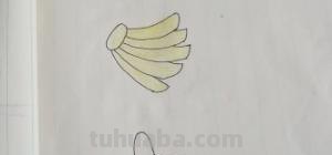 香蕉怎么画 简笔画 一年级简单画香蕉？
