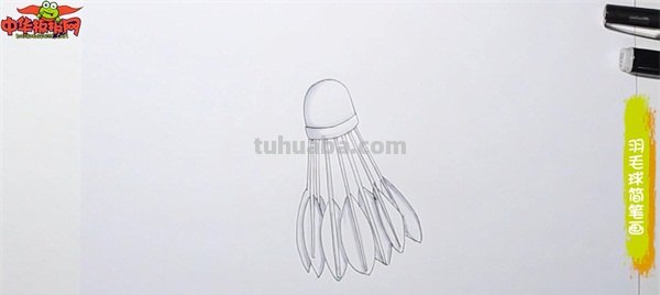 羽毛怎么画简笔画 如何画羽毛？