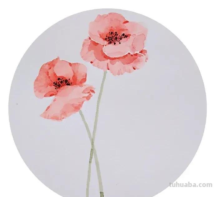 快看看这组清新怡人的水彩插画,手残党福音!不学就亏了 快看看这组清新怡人的水彩插画,手残党福音!不学就亏了