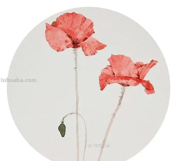 快看看这组清新怡人的水彩插画,手残党福音!不学就亏了 快看看这组清新怡人的水彩插画,手残党福音!不学就亏了