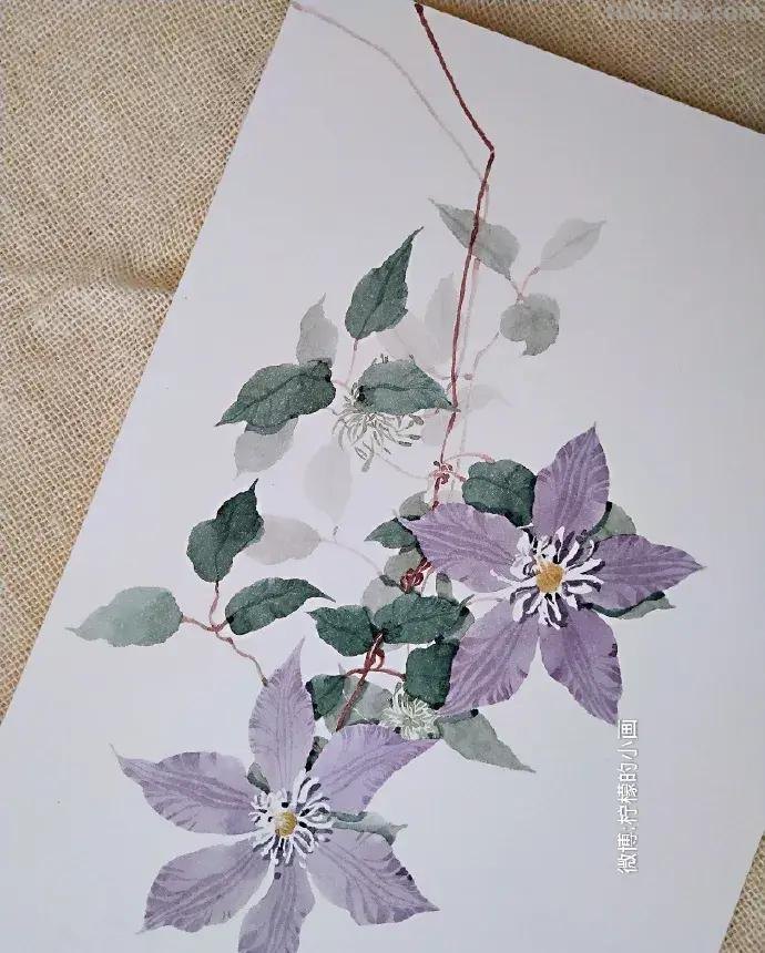 快看看这组清新怡人的水彩插画,手残党福音!不学就亏了 快看看这组清新怡人的水彩插画,手残党福音!不学就亏了