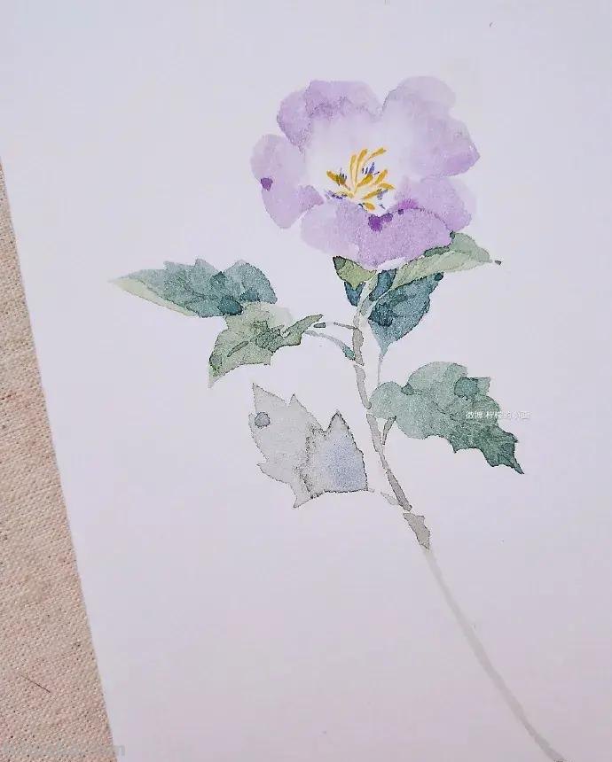 快看看这组清新怡人的水彩插画,手残党福音!不学就亏了 快看看这组清新怡人的水彩插画,手残党福音!不学就亏了