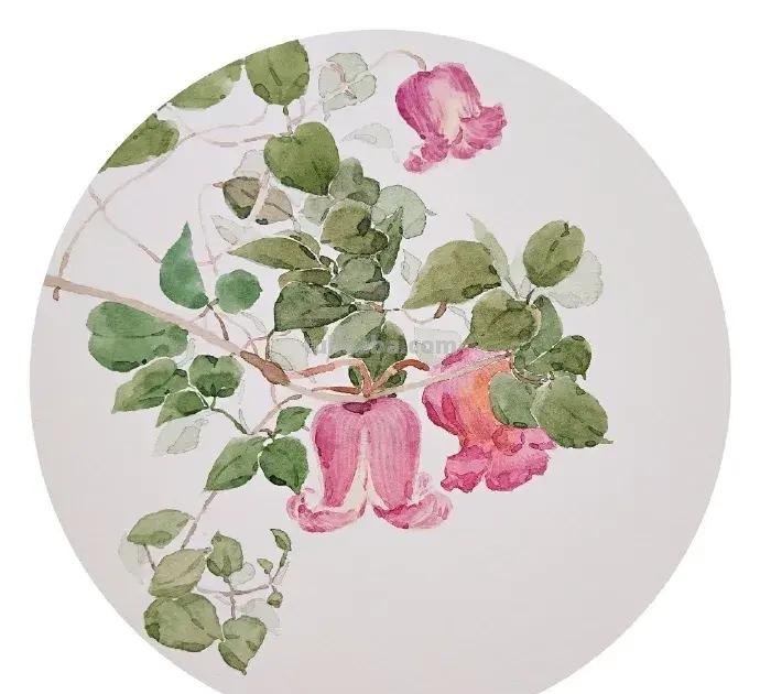 快看看这组清新怡人的水彩插画,手残党福音!不学就亏了 快看看这组清新怡人的水彩插画,手残党福音!不学就亏了